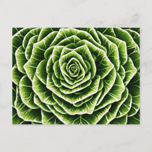 Natuur voor het mengen van geometrisch slapatroon briefkaart