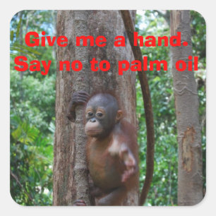 Natuur voor instandhouding vierkante sticker