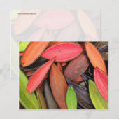 Natuur voor kleurrijke schelpen Oogst zaadpotigen Briefkaart (Voorkant / Achterkant)