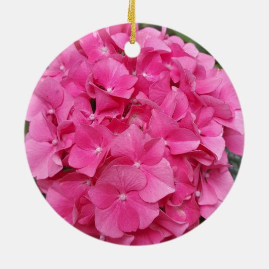 Natuur voor roze bloem fotografie keramisch ornament (Achterkant)