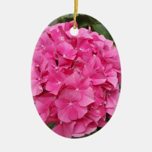 Natuur voor roze bloem fotografie keramisch ornament (Voorkant)