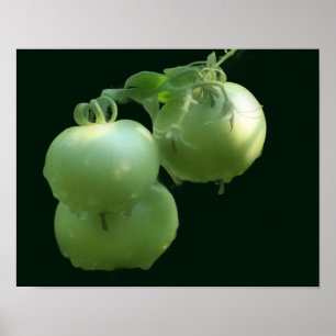 Natuur voor tuingroenten en tomaten poster