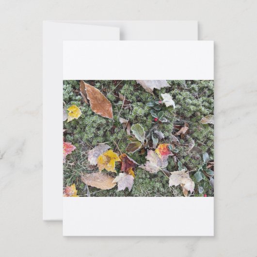 Natuur vorst, vlakke Kaart Notitiekaartje (Voorkant)