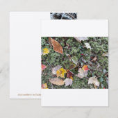 Natuur vorst, vlakke Kaart Notitiekaartje (Voorkant / Achterkant)