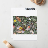 Natuur vorst, vlakke Kaart Notitiekaartje (Voorkant / Achterkant in situ)