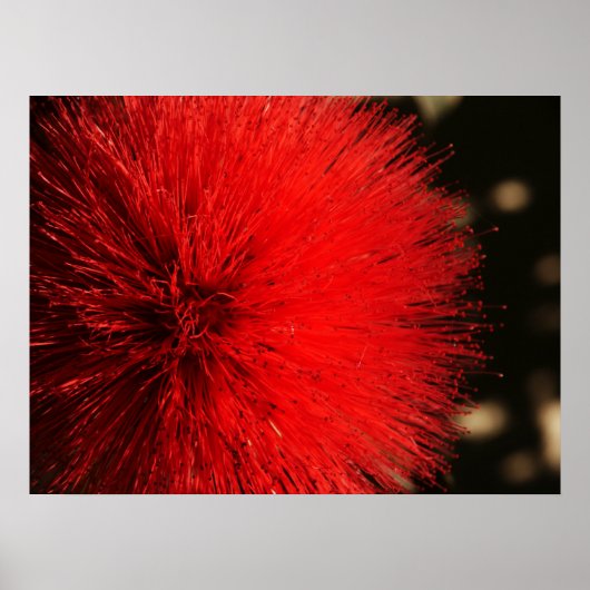 Natuur vuurwerk poster (Voorkant)