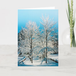 Natuur: Walden Pond vol goddelijkheid Feestdagen Kaart