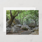 Natuur Walk Briefkaart (Voorkant / Achterkant)