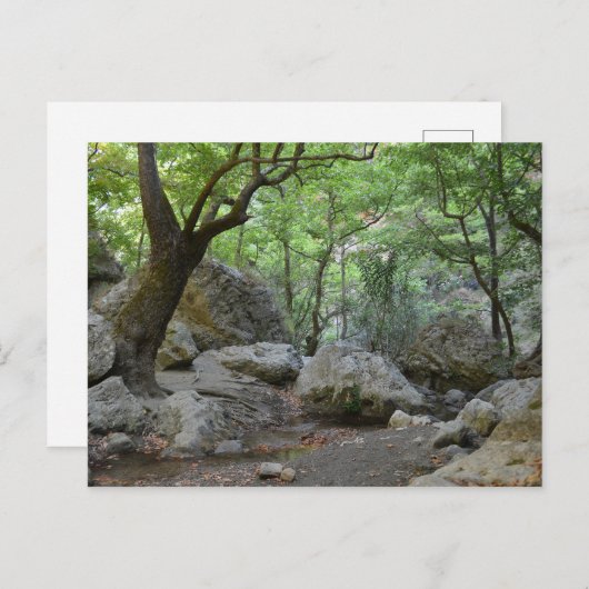 Natuur Walk Briefkaart (Voorkant / Achterkant)