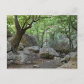 Natuur Walk Briefkaart (Voorkant)