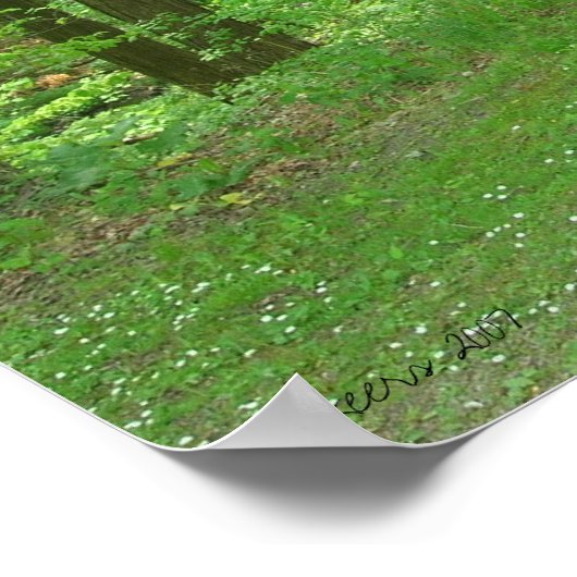 Natuur Walk Poster (Hoek)