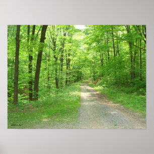 Natuur Walk Poster