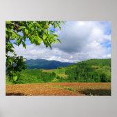 Natuur Wall Art | Forest Wall Decor | Poster (Voorkant)
