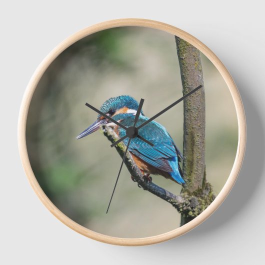 Natuur wandklok (Voorkant)