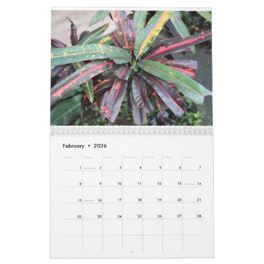 natuur waterval afbeelding Toevoegen jouw tekst 20 Kalender (Feb 2026)