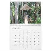 natuur waterval afbeelding Toevoegen jouw tekst 20 Kalender (Jan 2026)