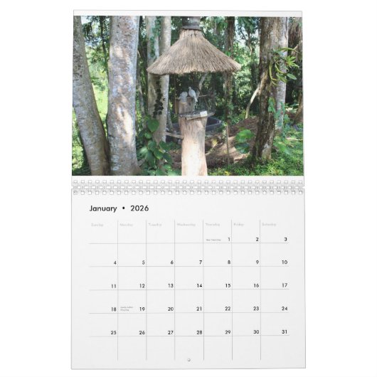 natuur waterval afbeelding Toevoegen jouw tekst 20 Kalender (Jan 2026)