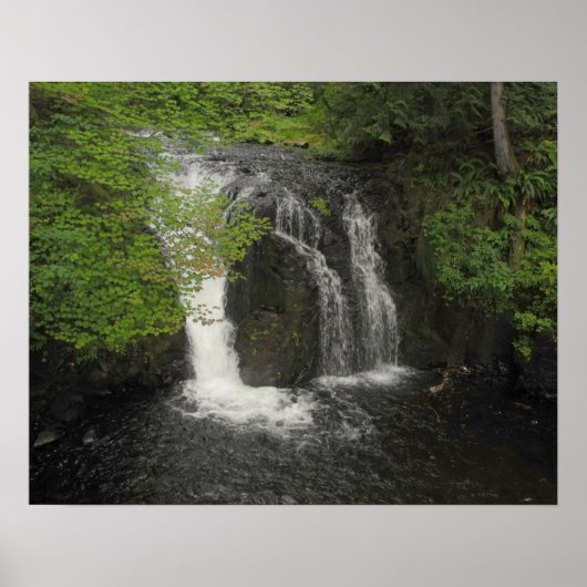 Natuur Waterval en Groene bladeren Foto Poster (Voorkant)