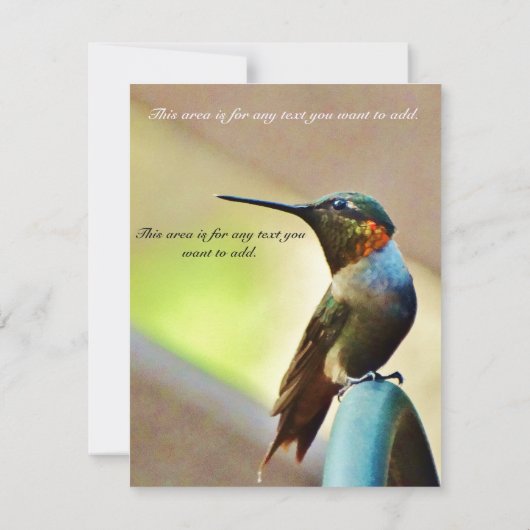 Natuur Wedding Hummingbird Save the Date Uitnodige (Achterkant)
