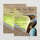 Natuur Wedding Hummingbird Save the Date Uitnodige (Voorkant / Achterkant)
