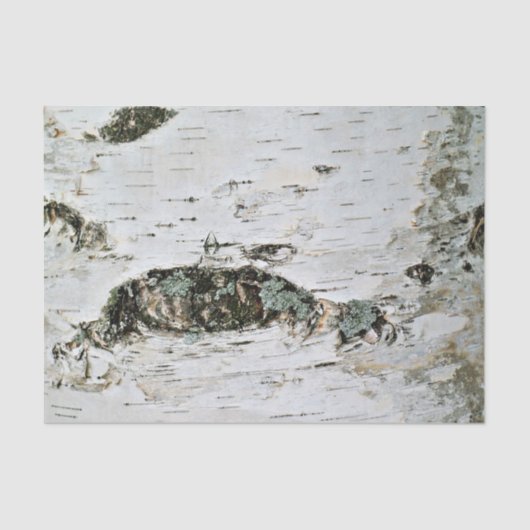 Natuur Weefselpapier - Birch hout Tissuepapier (Voorkant)