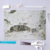 Natuur Weefselpapier - Birch hout Tissuepapier (Craft)