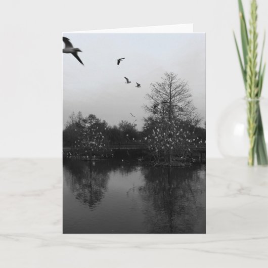 Natuur wenskaart kaart (Voorkant)