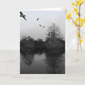 Natuur wenskaart kaart (Gele Bloem)