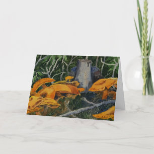 Natuur Wenskaart oddities Kaart