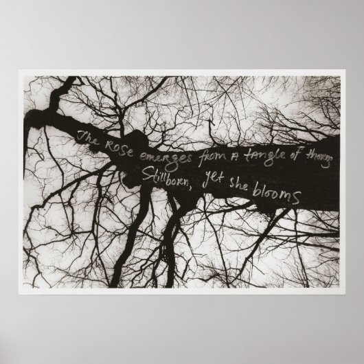 Natuur Whispers Poster (Voorkant)