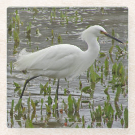 Natuur White Wading Bird Photo Large Egret Glazen Onderzetter