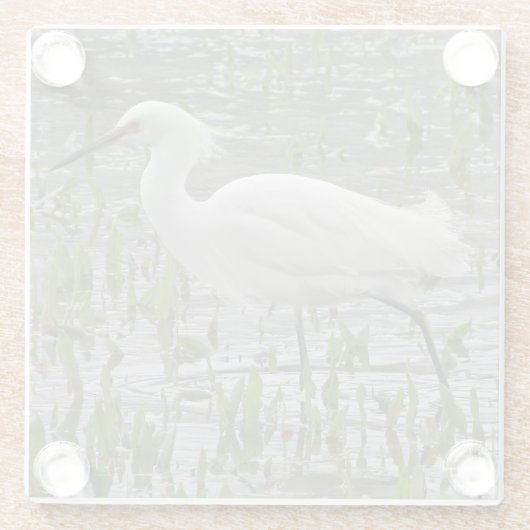 Natuur White Wading Bird Photo Large Egret Glazen Onderzetter (Achterkant)