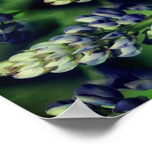 Natuur Wild Blue Lupine Flowers Abstract Poster (Hoek)