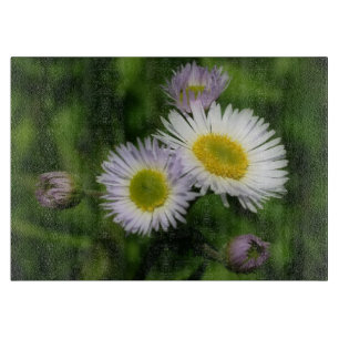 Natuur Wild Fleabane Daisy Flowers Snijplank