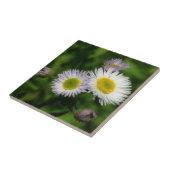 Natuur Wild Fleabane Daisy Flowers Tegeltje (Zijkant)
