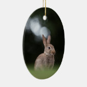 Natuur Wild Rabbit Foto Keramisch Ornament (Rechts)