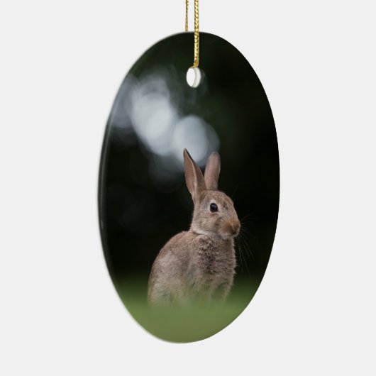 Natuur Wild Rabbit Foto Keramisch Ornament (Rechts)