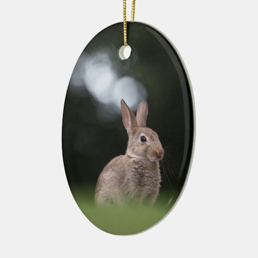 Natuur Wild Rabbit Foto Keramisch Ornament (Links)