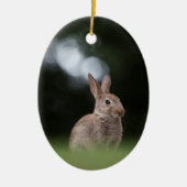 Natuur Wild Rabbit Foto Keramisch Ornament (Voorkant)