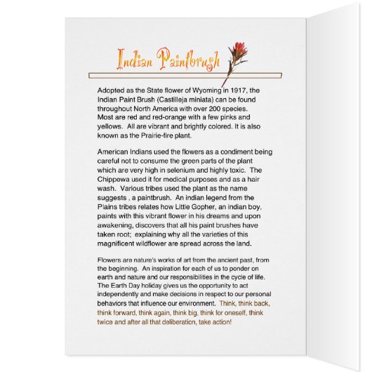 Natuur Wilde bloem Indische penseel (Binnen (Links))