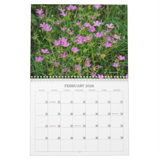 Natuur Wilde Bloemen Kalender (Feb 2026)