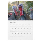 Natuur wilde kalkoen kalender (Mar 2027)