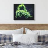 Natuur - Wilde Leafy-wijnstokken Canvas Afdruk (Insitu (Slaapkamer))