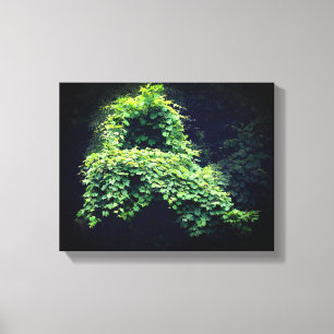 Natuur - Wilde Leafy-wijnstokken Canvas Afdruk