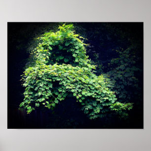 Natuur - Wilde Leafy-wijnstokken Poster