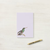 Natuur wilde vogels kolibrie post-it® notes (Op bureau)