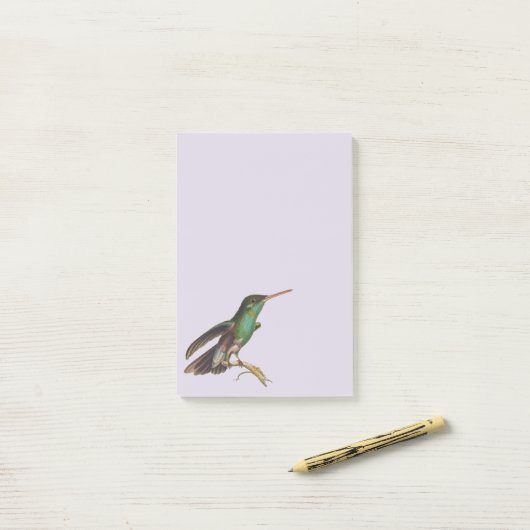 Natuur wilde vogels kolibrie post-it® notes (Op bureau)