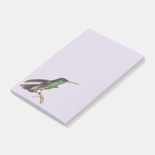 Natuur wilde vogels kolibrie post-it® notes (Schuin)