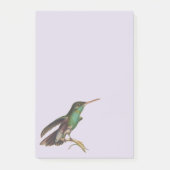 Natuur wilde vogels kolibrie post-it® notes (Voorkant)