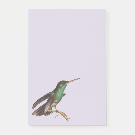 Natuur wilde vogels kolibrie post-it® notes (Voorkant)